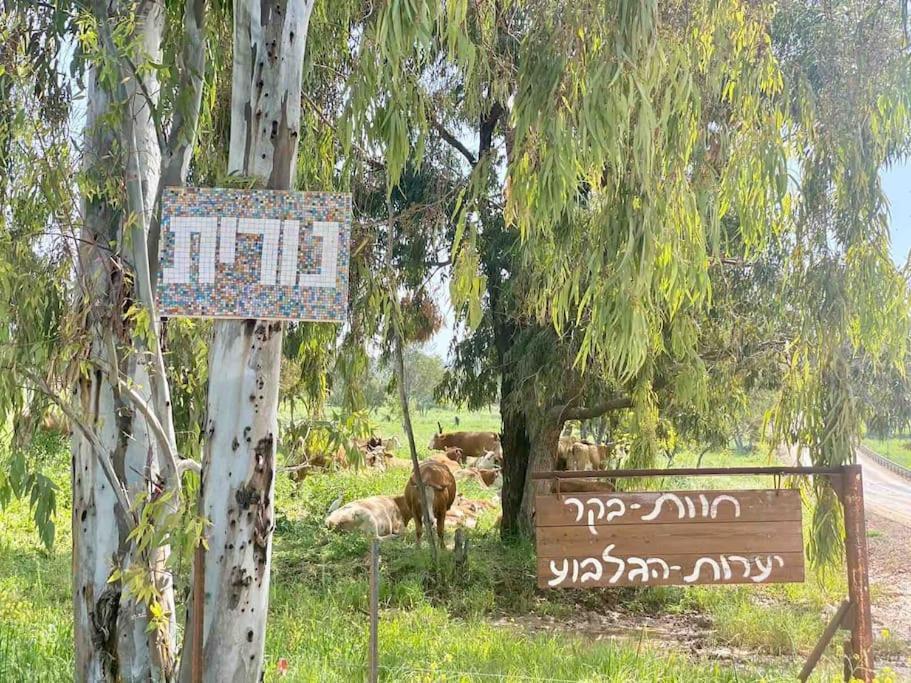 אחוזת היניבים Yaniv Estate Nurit Exterior foto